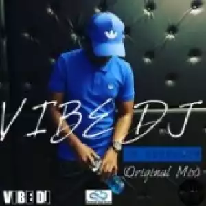 VIBE DJ - 19 December (Original Mix)